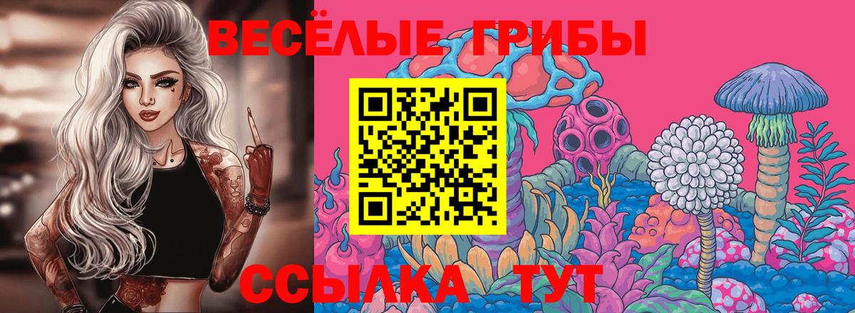 Галлюциногенные грибы ЛСД Раменское