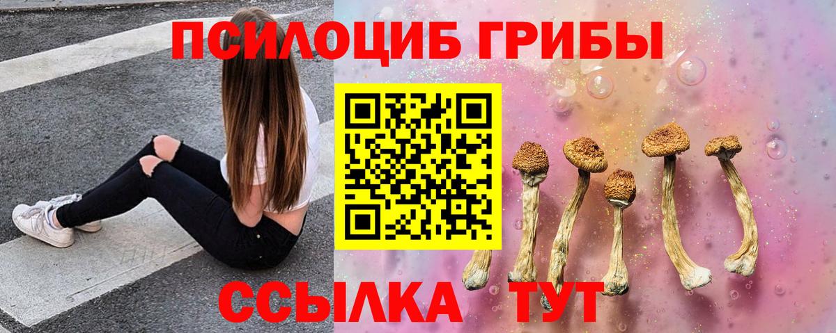 Галлюциногенные грибы Magic Shrooms  Вход с VPN  цена   Раменское 